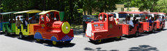 Trackless Train & Fire Truck Trackless Train & Fire Truck